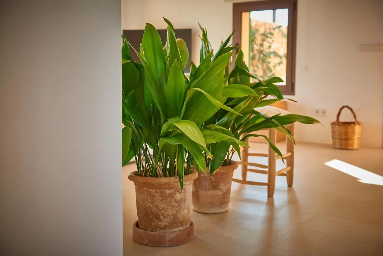 Villa Son Capellot Fenalitx  Agroturismo Fenalitx (Fenalich)